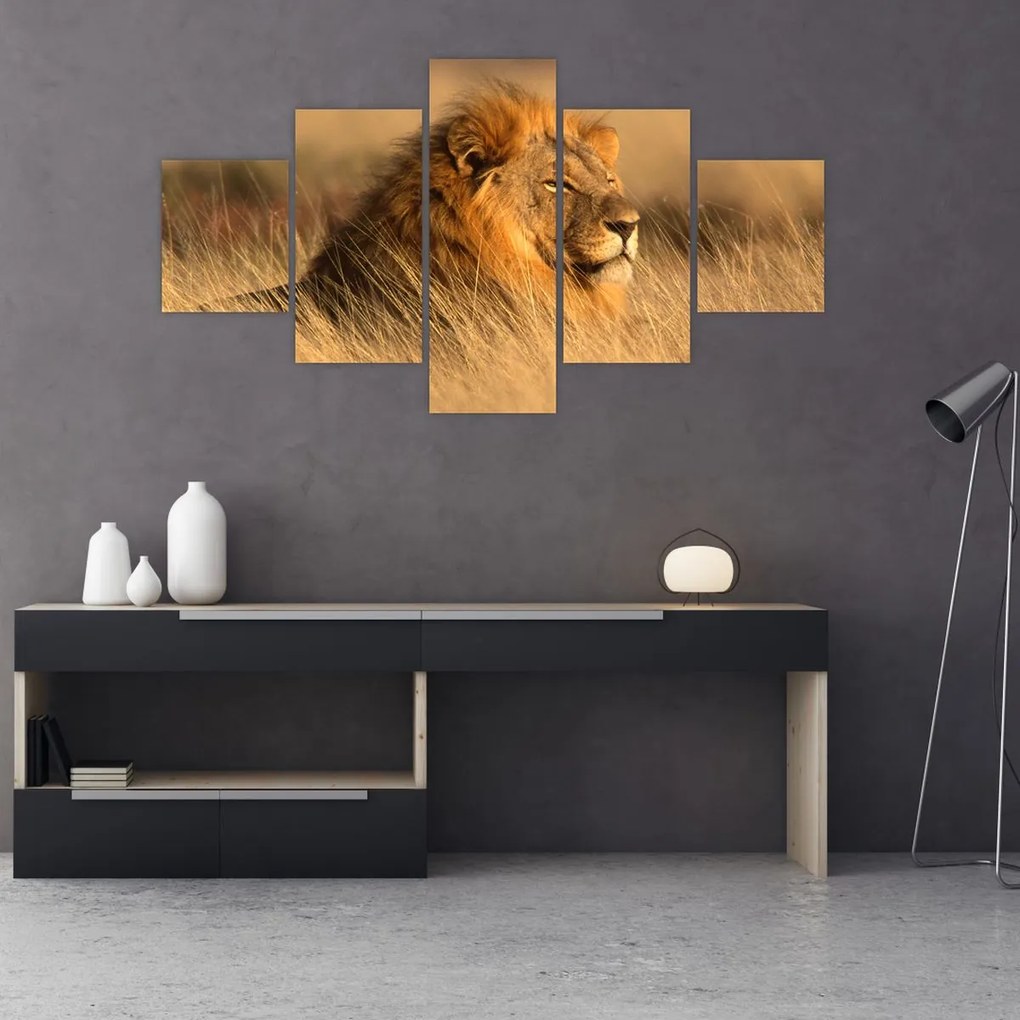 Obraz - Park Narodowy Etosha (125x70 cm)