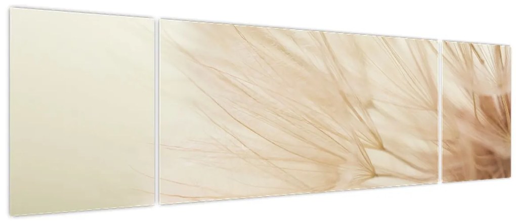 Obraz - Szczegóły kwiatu (170x50 cm)