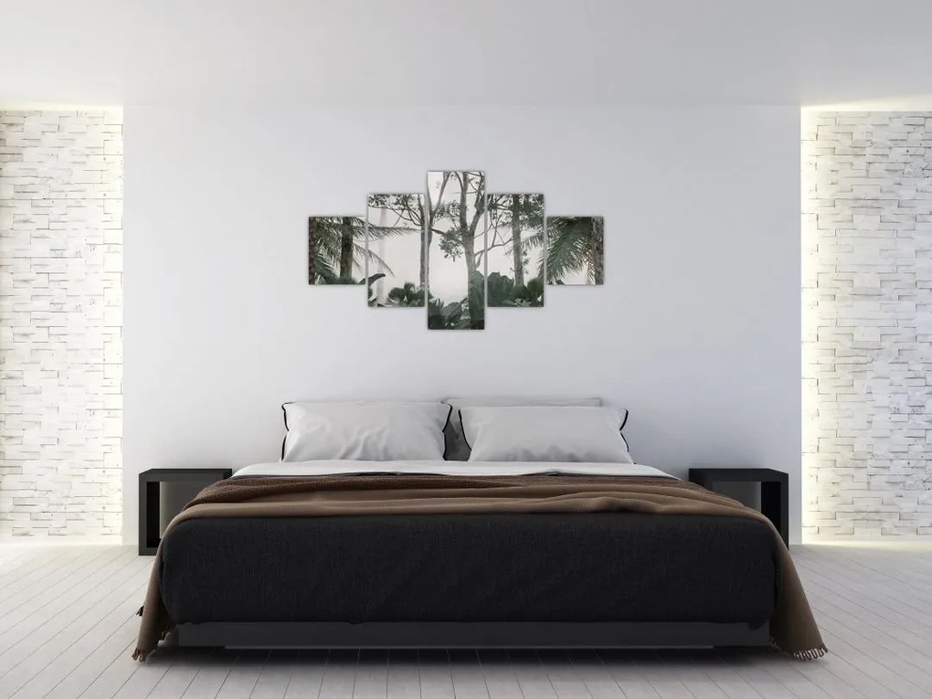 Obraz - dżungla w porannej mgle (125x70 cm)