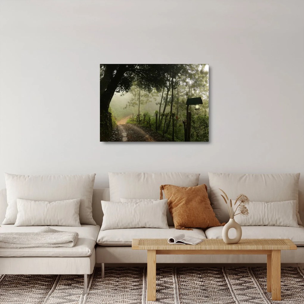Obraz na szkle porannej mgły (70x50 cm)