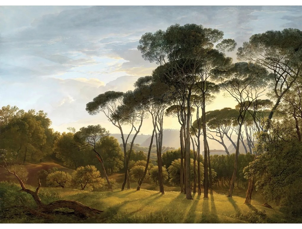 Fototapeta XXL Old Forest 360 x 254 cm, 4 części