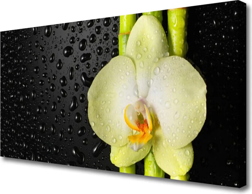 Duży obraz na płótnie Harmonijna Kompozycja Botaniczna