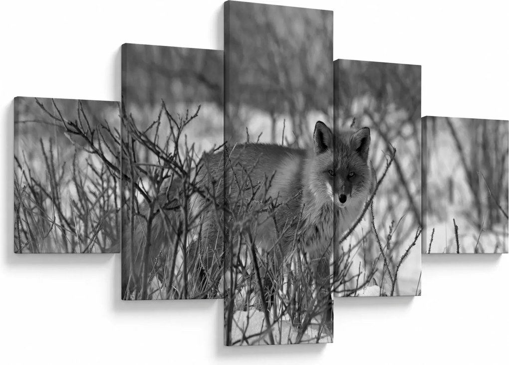 Obraz - Lis w zimie (125x70 cm)