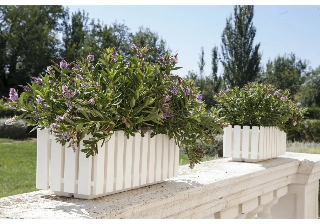 Gardenico Skrzynka Fency biały, 75 cm, 75 cm