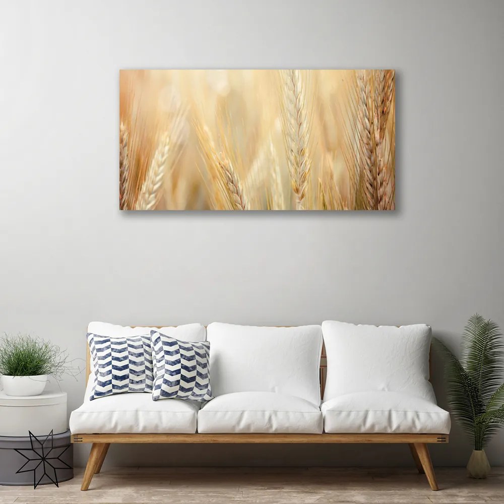Obraz canvas Łany Złotej Pszenicy