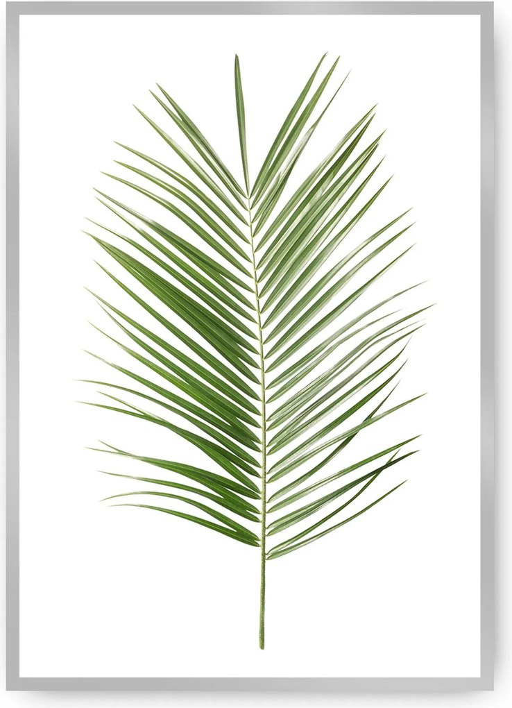 Plakat Palm Leaf Green