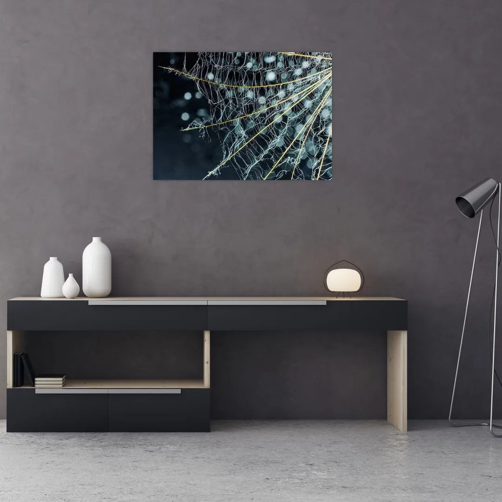 Obraz - Kwiat z pajęczyną (70x50 cm)