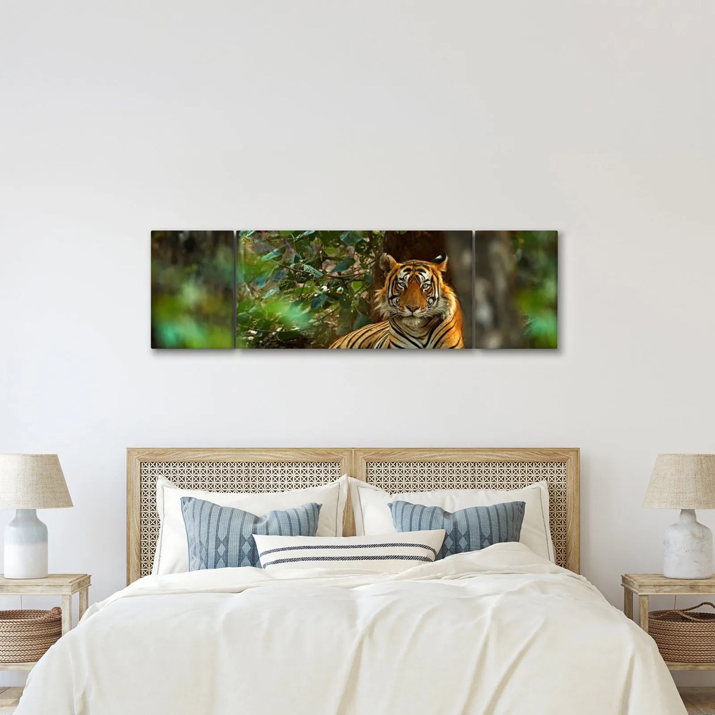 Obraz odpoczywającego tygrysa (170x50 cm)