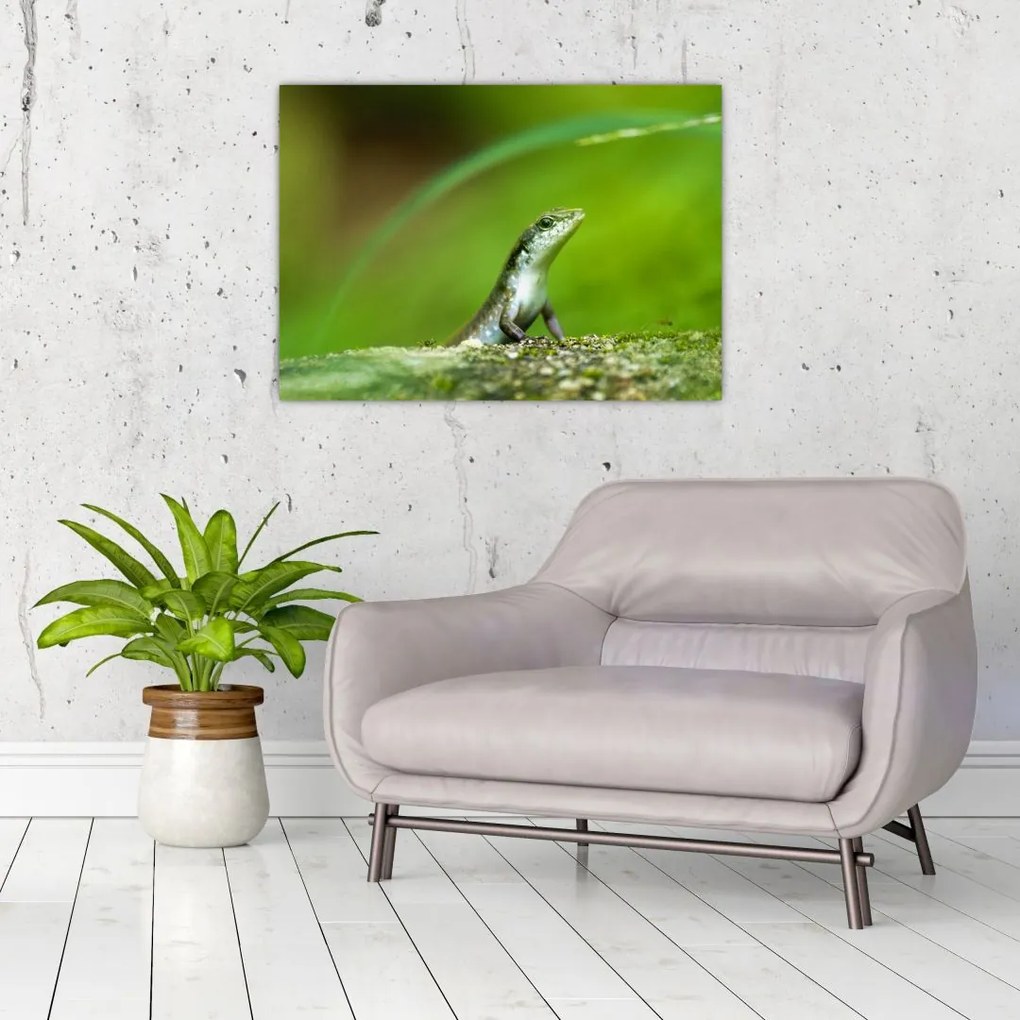 Obraz na szkle - jaszczurka (70x50 cm)