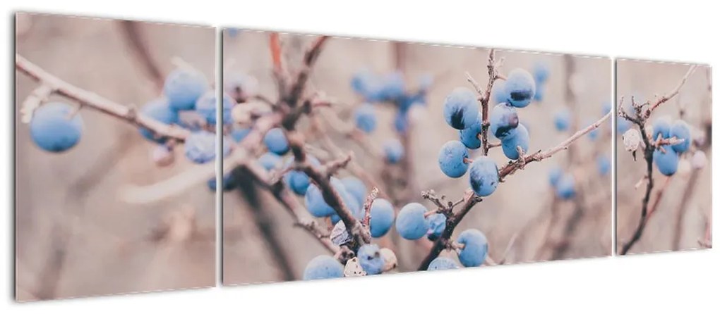 Obraz jagód na krzaku (170x50 cm)