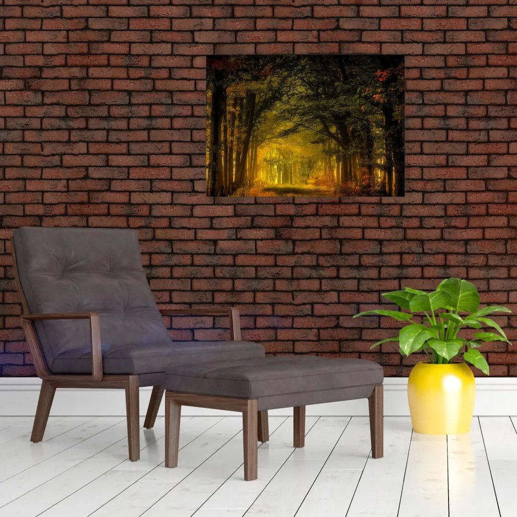 Obraz na szkle lasu (70x50 cm)