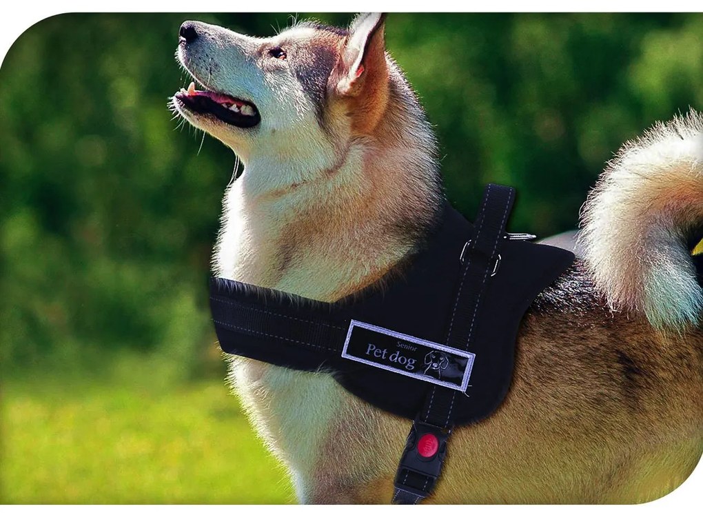 Szelki dla psa, rozmiar S