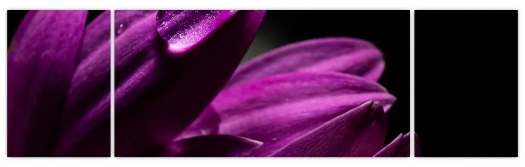 Obraz  - Kropla wody (170x50 cm)