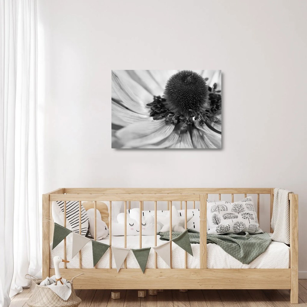 Obraz na szkle - Kwiat w czerni i bieli (70x50 cm)