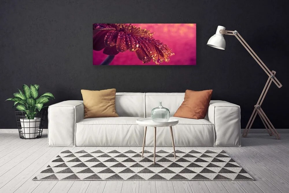 Zdjęcie na płótnie Majestatyczne Drzewo w Polu