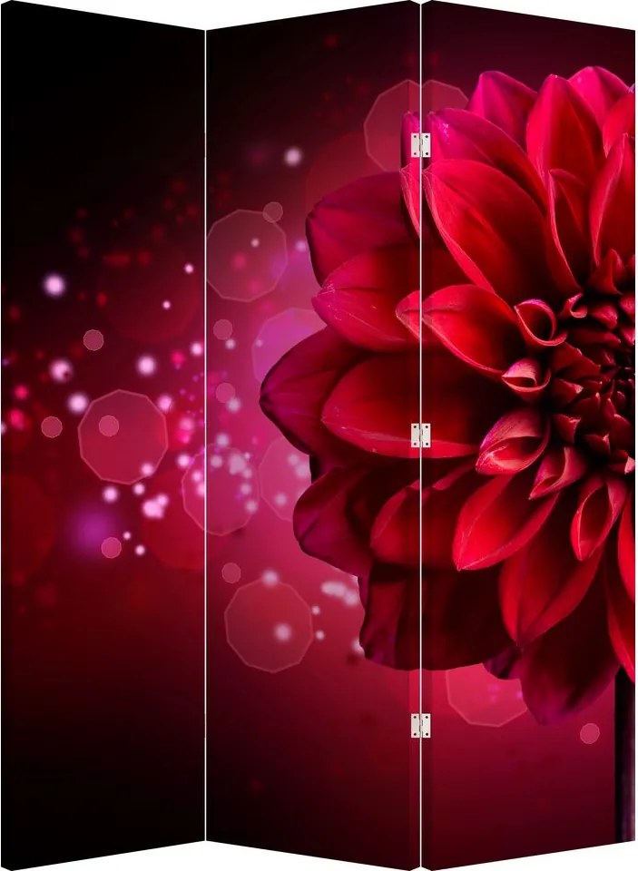 Parawan - Czerwony kwiat (126x170 cm)