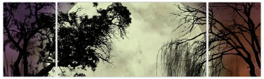 Obraz - Księżyc w pełni nad powierzchnią (170x50 cm)