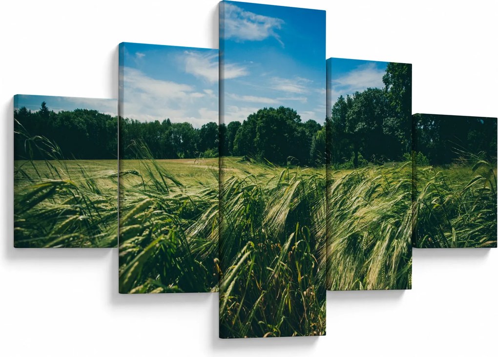 Obraz łąki i lasu (125x70 cm)