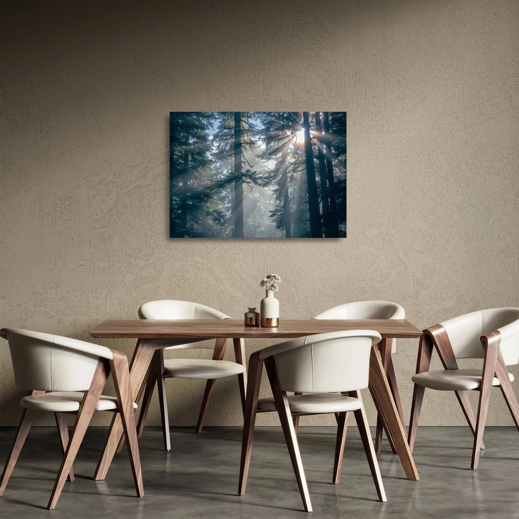 Obraz na szkle drzew, przez które prześwieca słońce (70x50 cm)