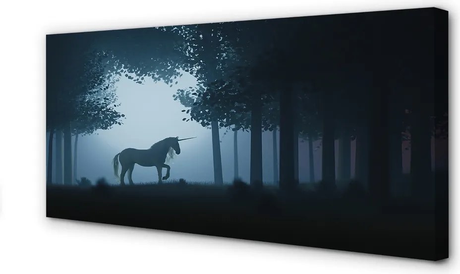 Zdjęcie na płótnie Nocny Las i Jednorożec