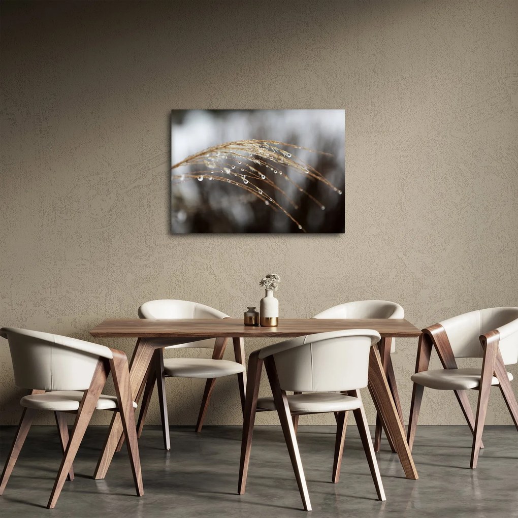 Obraz kropli na roślinie (70x50 cm)