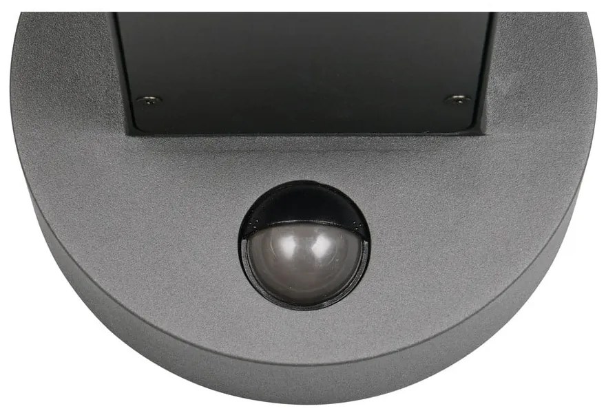 Zewnętrzna lampa ścienna (wysokość 24,5 cm) Fraser – Trio
