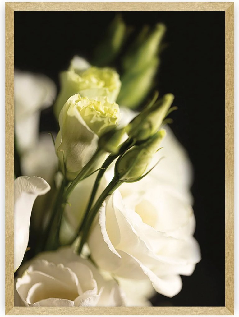 Plakat Dark Flowers I