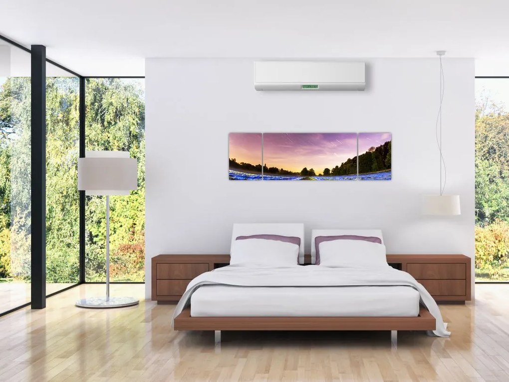 Obraz kolorowego pola (170x50 cm)