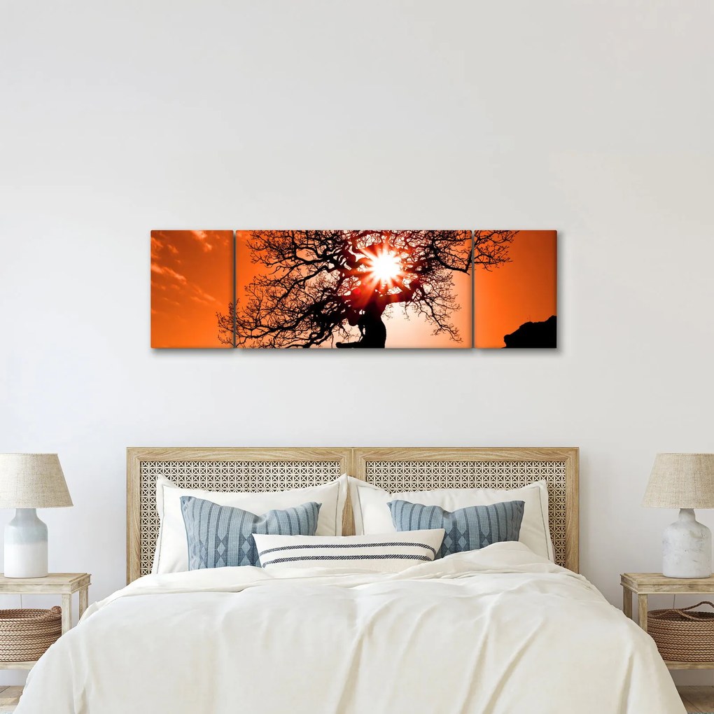 Obraz - Dąb o zachodzie słońca (170x50 cm)