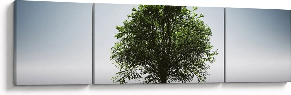 Obraz - Samotne drzewo (170x50 cm)