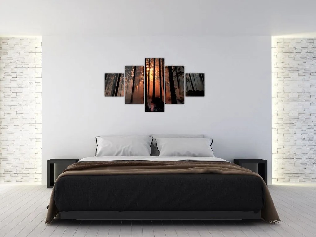 Obraz ciemnego lasu (125x70 cm)