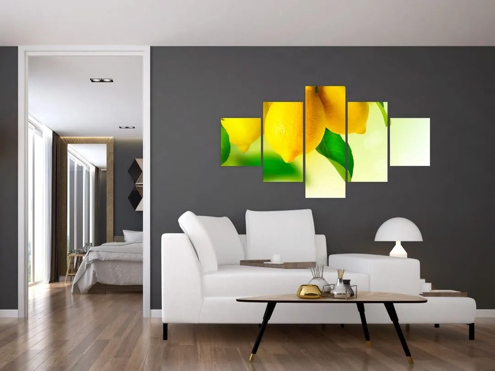 Obraz cytryn (125x70 cm)