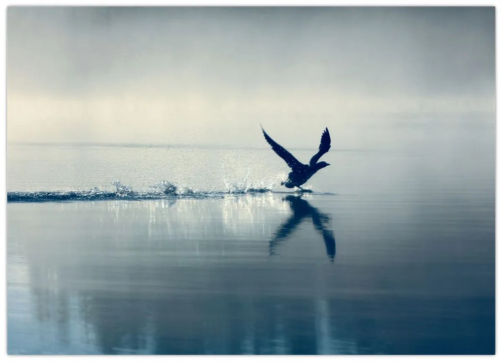 Obraz - Nury (70x50 cm)