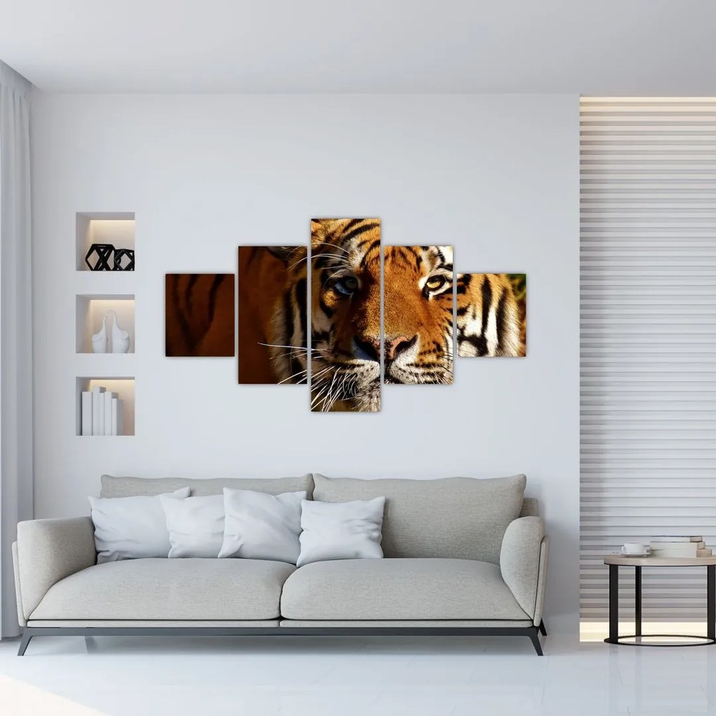 Obraz tygrysa (125x70 cm)
