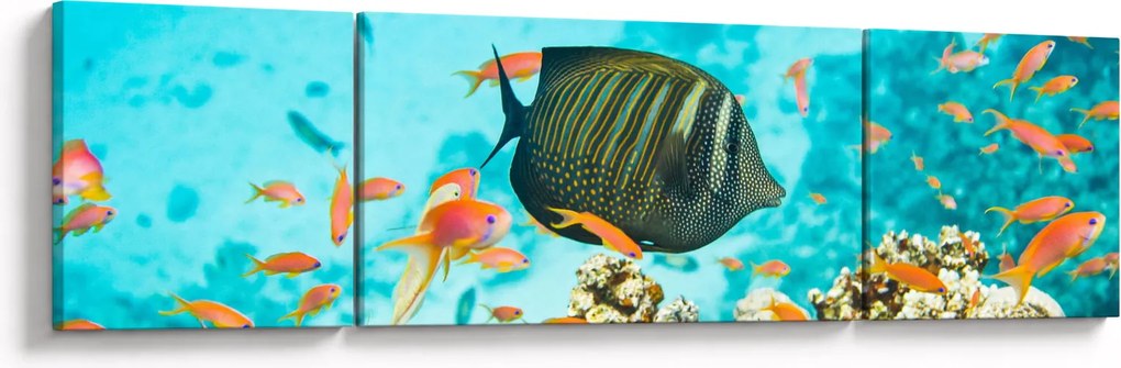 Obraz podwodnego świata (170x50 cm)