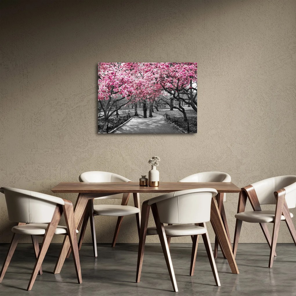 Obraz drzew magnolii (70x50 cm)