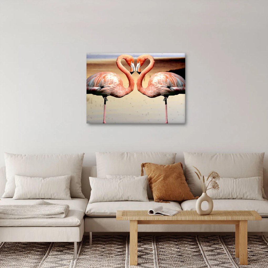 Obraz - dwa flamingi (70x50 cm)