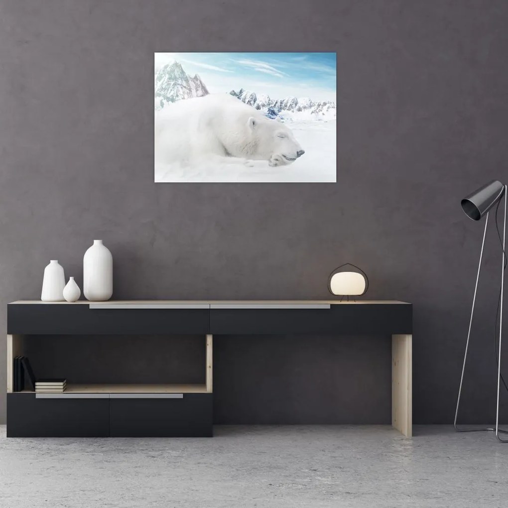 Obraz na szkle - Niedźwiedź polarny (70x50 cm)