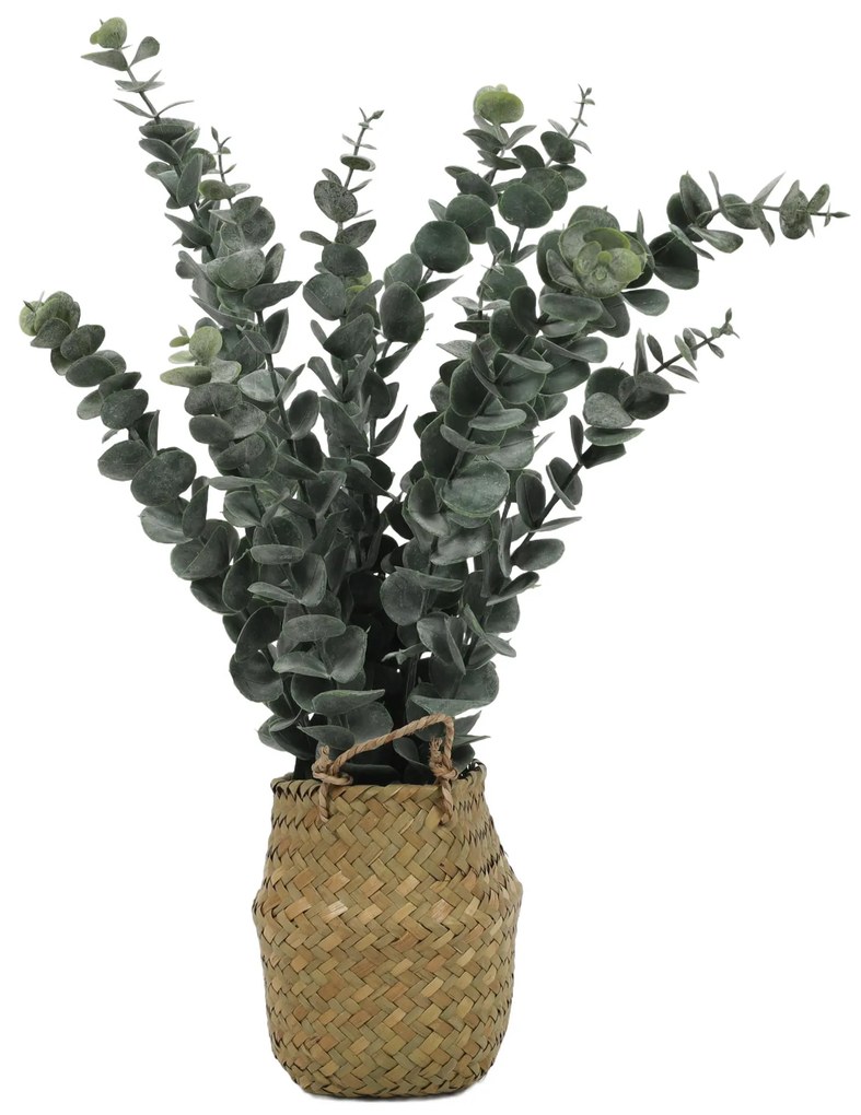 Sztuczna roślina eukaliptus w koszyku, 50 cm