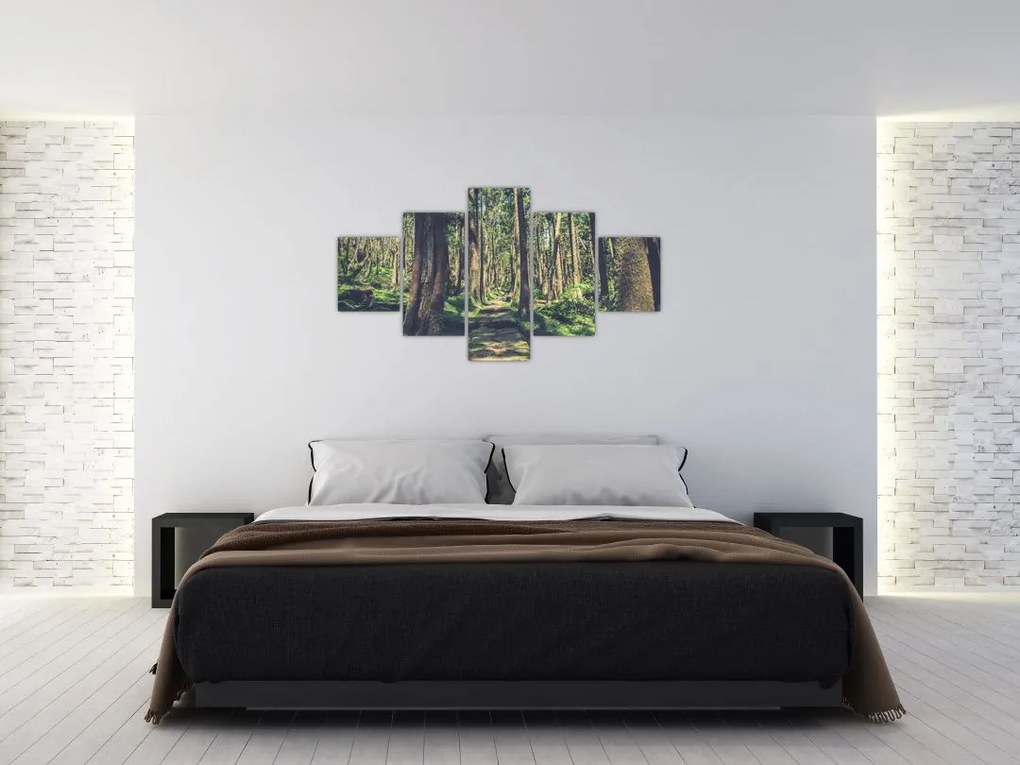 Obraz ścieżki pomiędzy drzewami (125x70 cm)