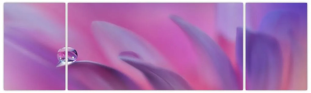 Obraz - Kropla na kwiecie (170x50 cm)