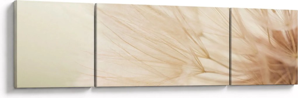 Obraz - Szczegóły kwiatu (170x50 cm)
