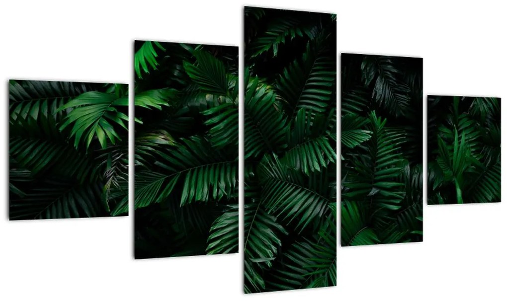 Obraz - Paprocie tropikalne (125x70 cm)