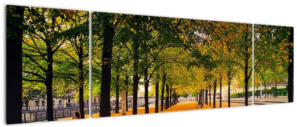 Obraz alei jesiennych drzew (170x50 cm)