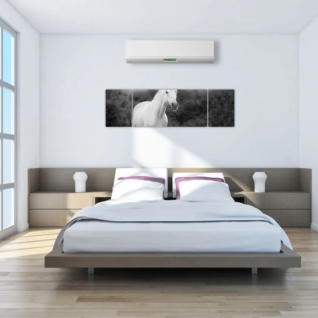 Obraz białego konia na łące, czarno - biały (170x50 cm)