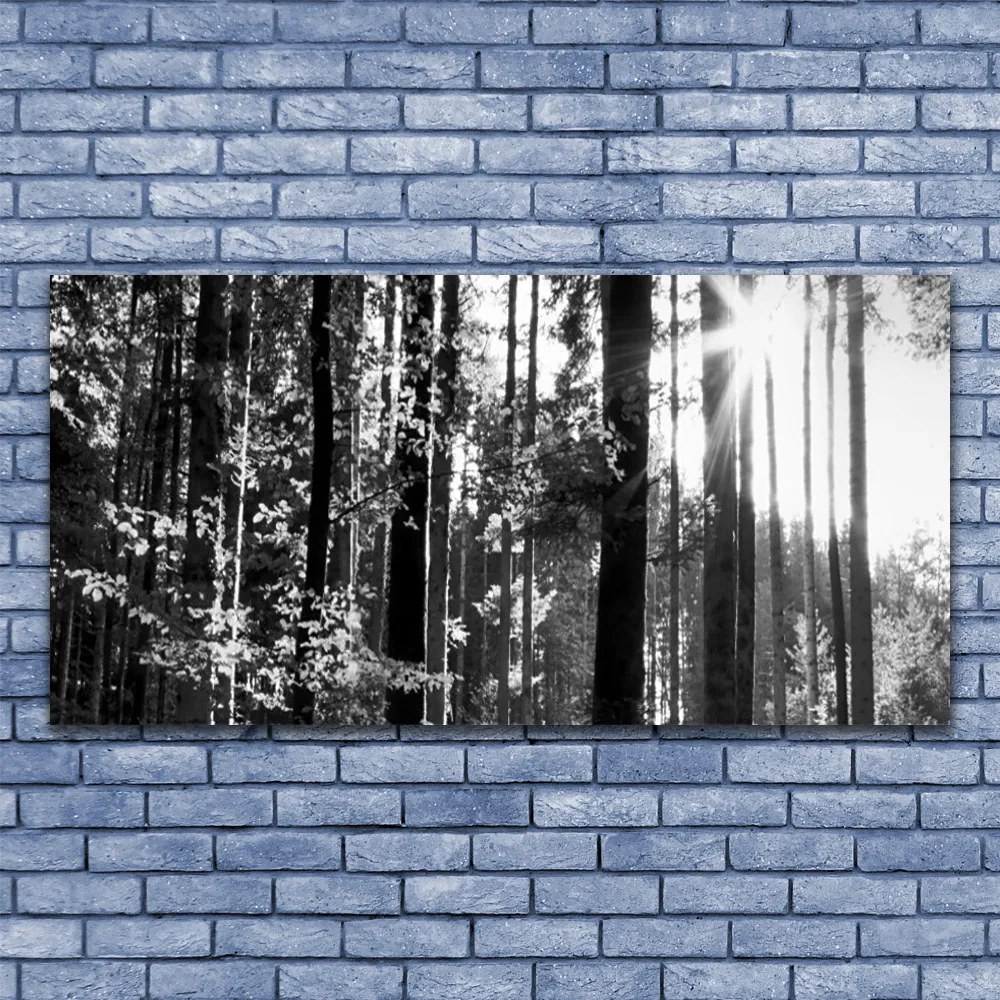 Duży obraz na płótnie Zielone Serce Lasu