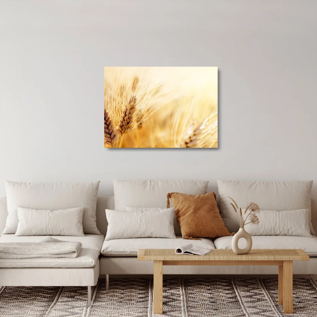 Obraz na szkle - szczegóły ziarna (70x50 cm)
