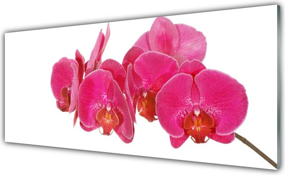 Panel Kuchenny Romantyczna Flora Ogrodowa