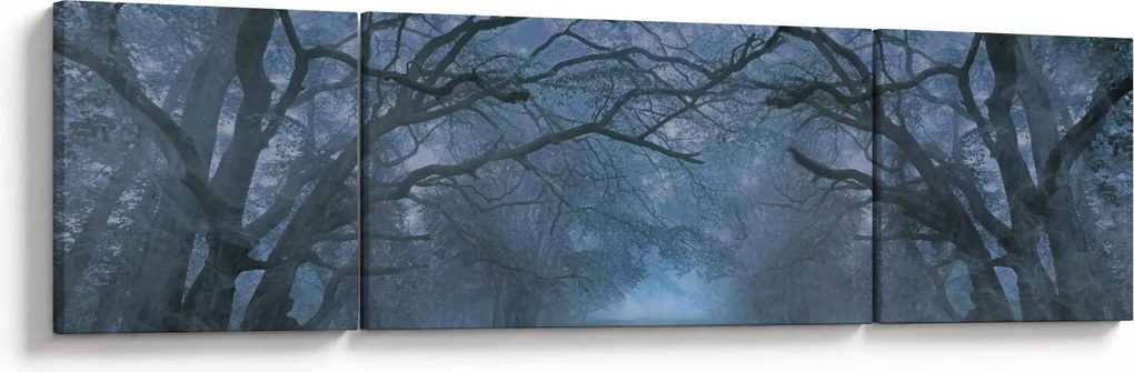 Obraz lasu we mgle (170x50 cm)
