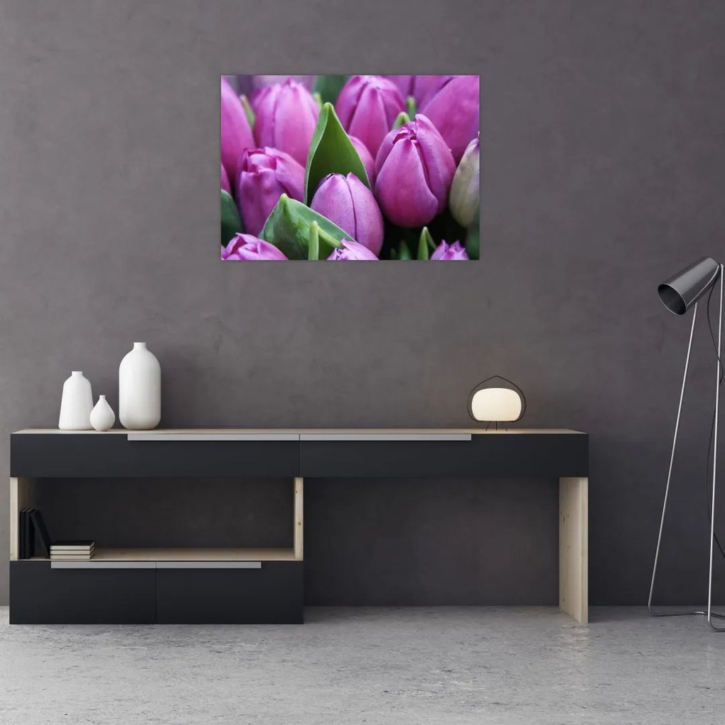 Obraz na szkle - kwiaty tulipanów (70x50 cm)